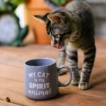 Cafeterías en México con temática de gatitos