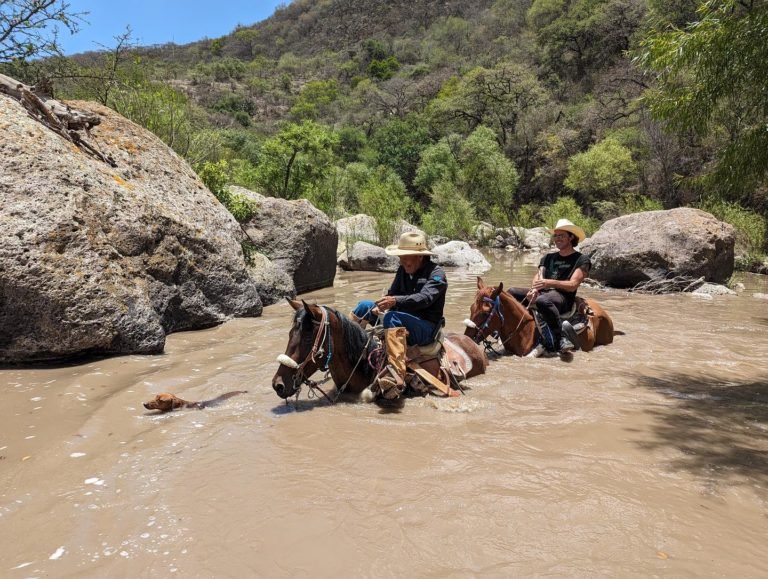 Coyote Canyon Adventures, caballos y aventura en San Miguel de Allende