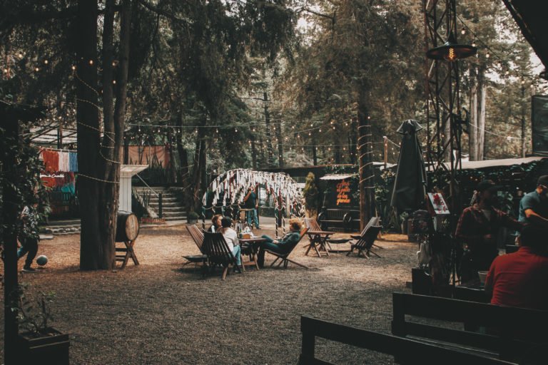 Celebra a los abuelos en el bosque y con fogata