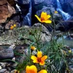 Cascada del Paso, una joya oculta de Moroleón