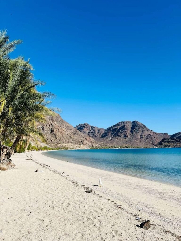 Mulegé: disfruta de un oasis en medio del desierto de Baja California Sur