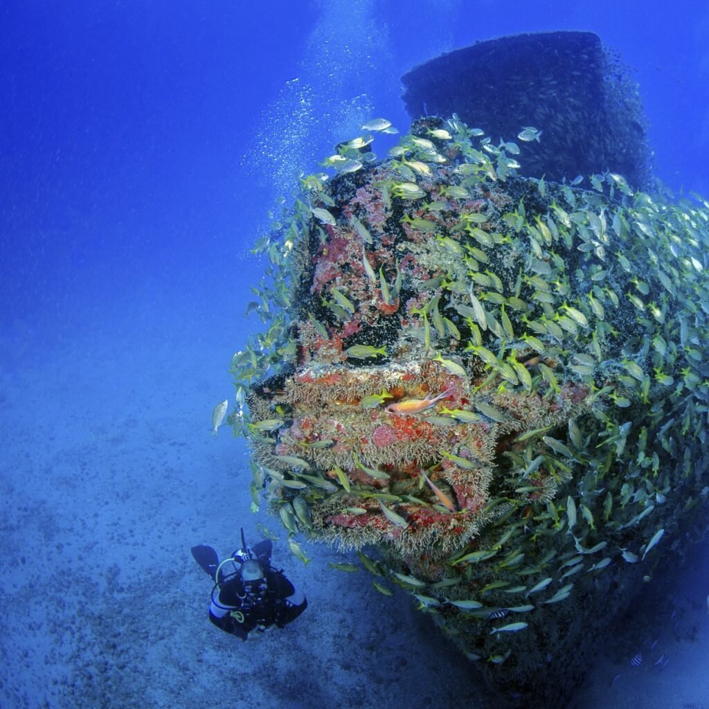 Manzanillo tendrá su propio museo bajo el mar