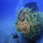 Manzanillo tendrá su propio museo bajo el mar