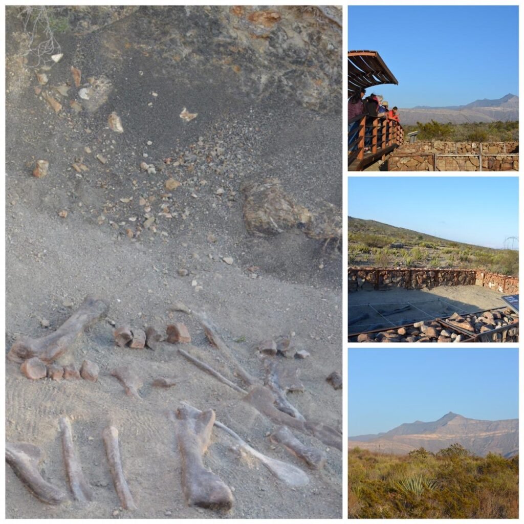 Qué ver en General Cepeda, joya turística del norte