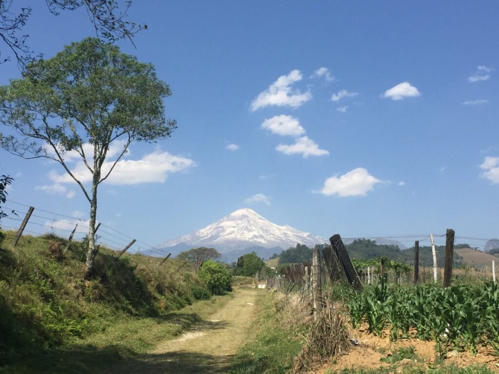 Fortín de las Flores: un jardín escondido en Veracruz