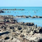 Ciudad del Carmen: templos, playita y museos sorprendentes