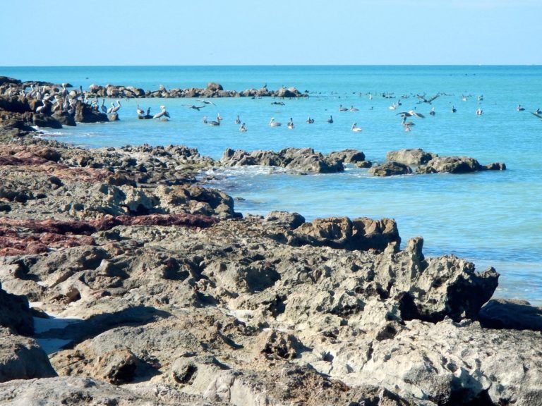Ciudad del Carmen: templos, playita y museos sorprendentes