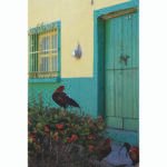 Mexcaltitán: historia, cultura y naturaleza en una isla