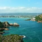 Top 5 mejores destinos en África para hacer un safari